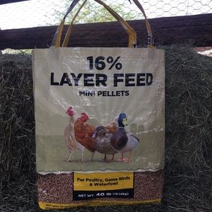Recycled feed bag tote!🦆🌾🐓